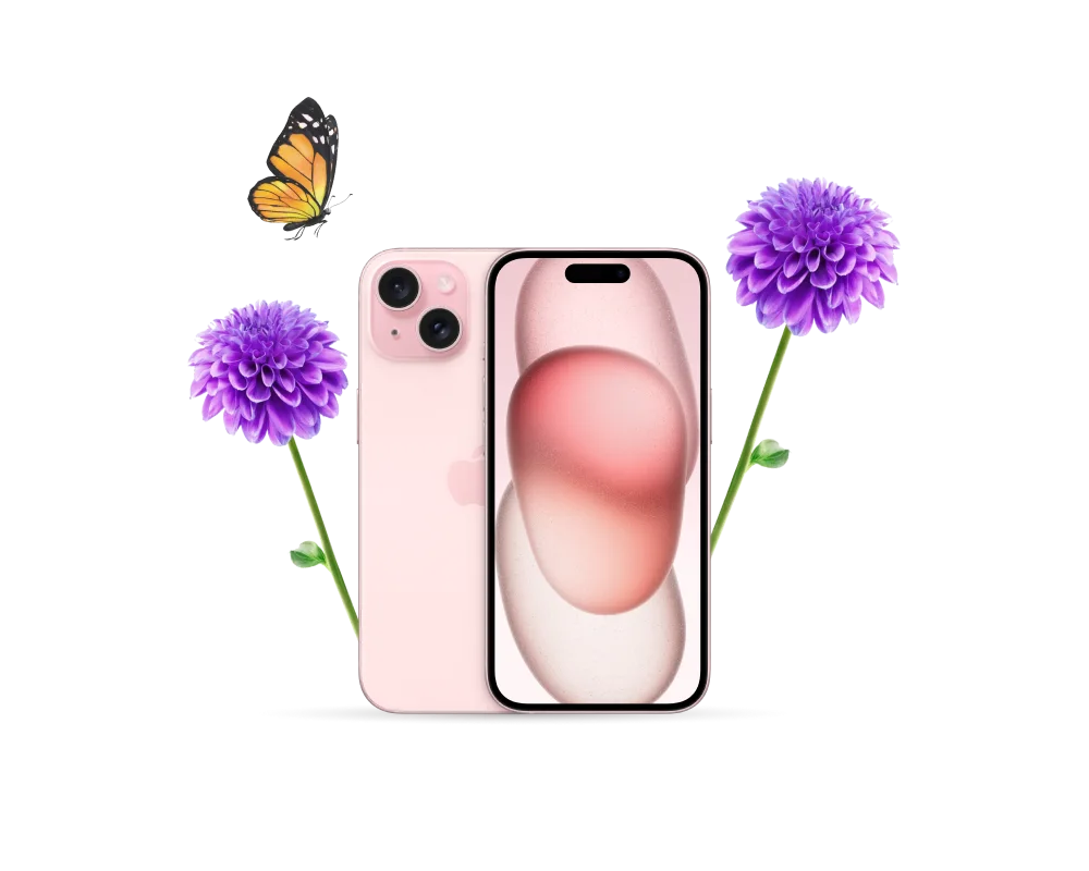 Avant et arrière d’un iPhone 15 de couleur rose, flanqué de dahlias violets éclatants. Un papillon virevolte autour.
