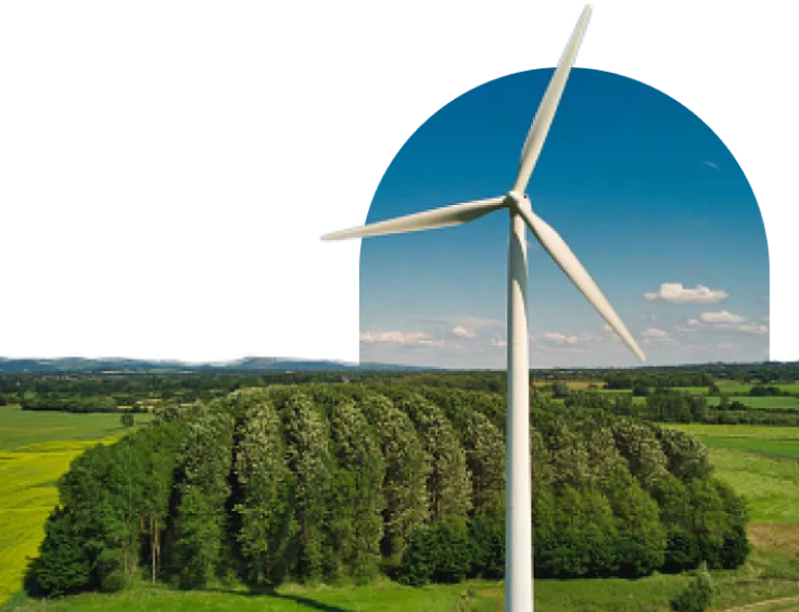 A wind turbine and a small forest.