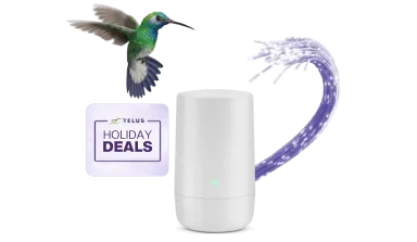 A hummingbird flying toward a TELUS modem. A sticker to the left reads: “Holiday deals”.