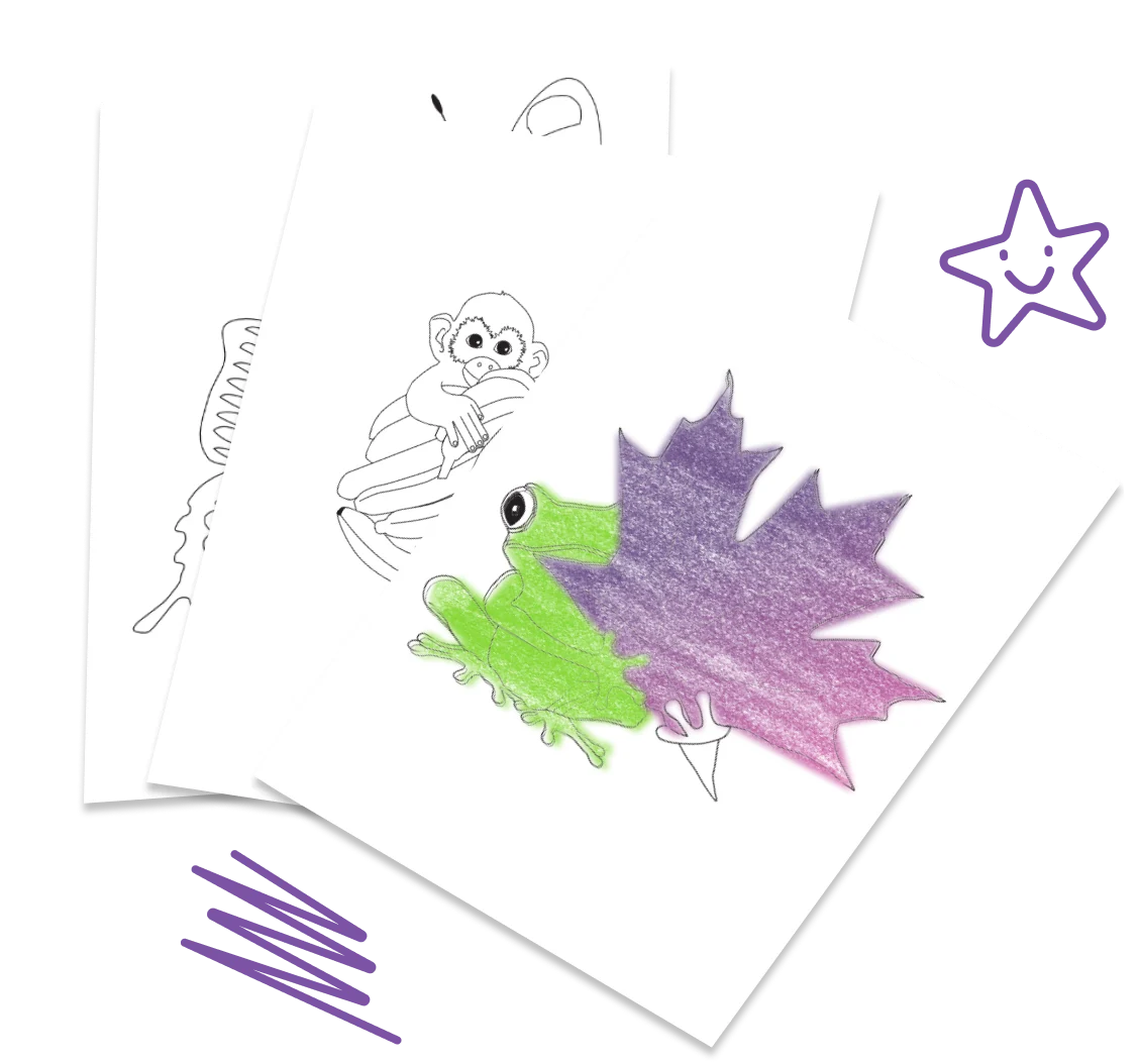Des crayons de couleur et du papier représentant une grenouille se cachant derrière une feuille, un singe et une étoile