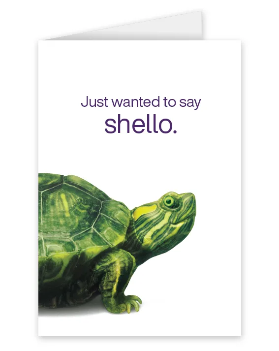 A card featuring a green turtle that says: Just wanted to say shello