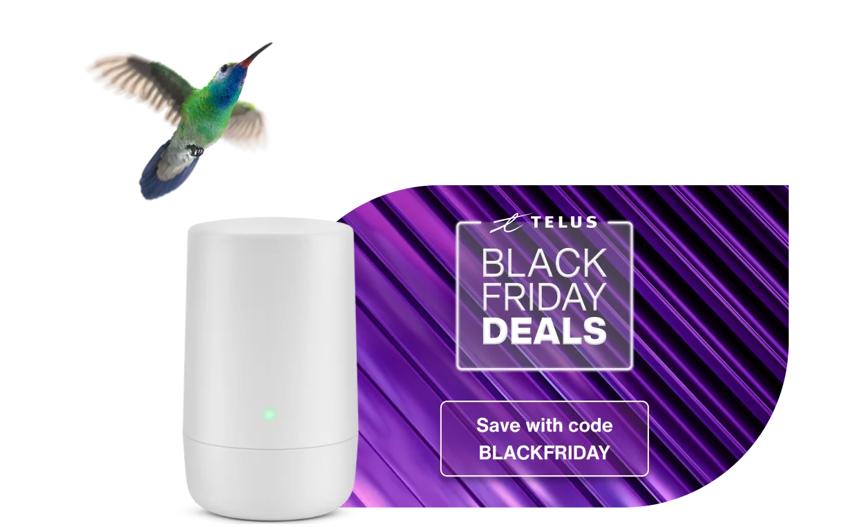 A humming bird hovering over a TELUS modem next to text that reads ‘Black Friday Deals’ and ‘Save with code BLACKFRIDAY.’