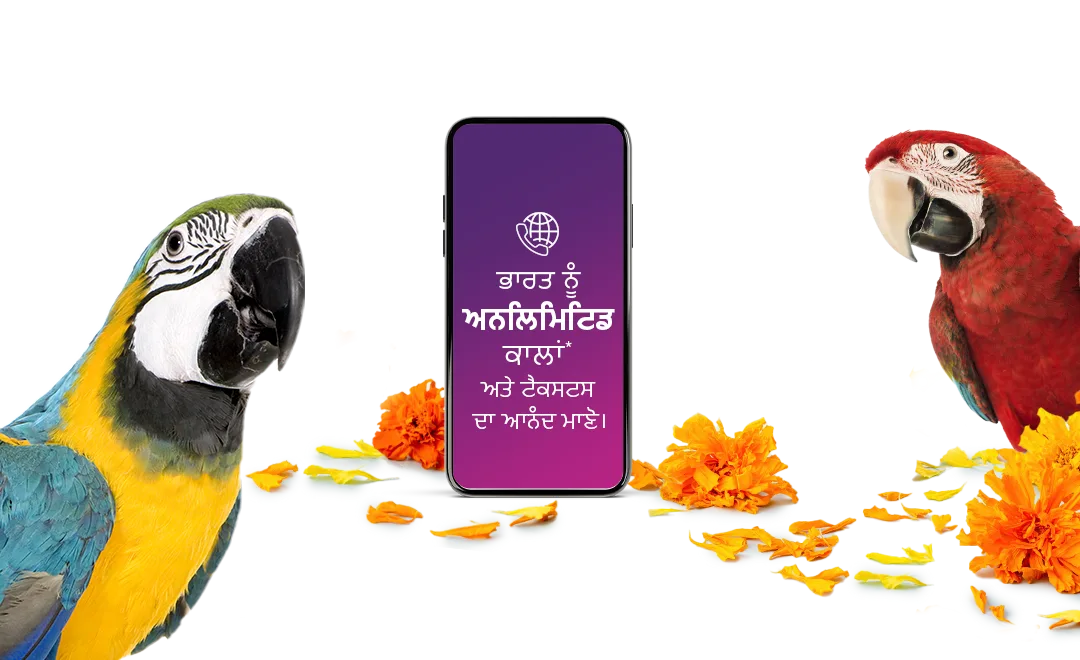 ਇੱਕ ਸਮਾਰਟਫੋਨ ਦੇ ਕੋਲ ਦੋ ਤੋਤੇ।