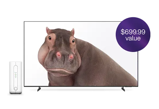 A TV and TELUS modem. The TV screen displays a hippo. A roundel on the right reads “$699.99 value”.