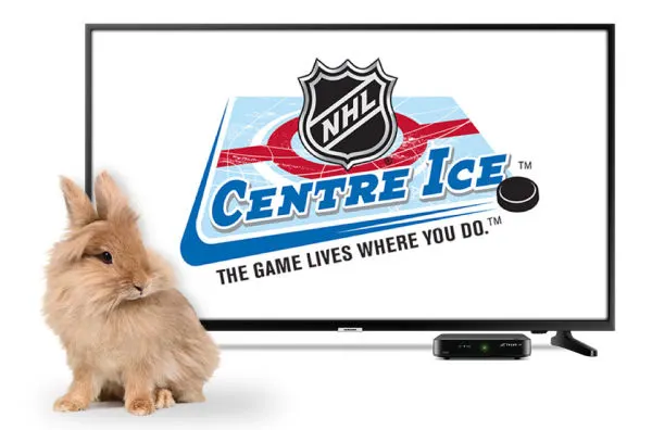 A fluffy bunny stands next to a tv, thrilled to have a subscription to watch NHL live hockey with NHL centre ice.