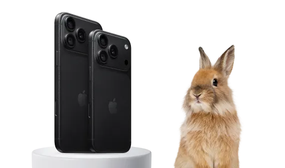 La vue arrière des iPhone 18 Pro et Pro Max en noir. À droite, un lapin regarde en direction des iPhone.