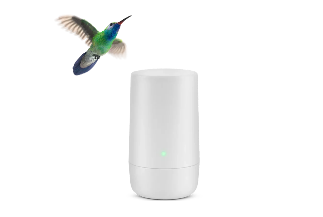 A hummingbird hovering over a TELUS modem.