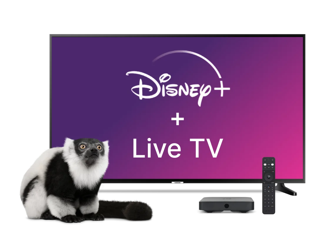 A TV displays the Optik TV offer of live TV and Netflix together with a TELUS TV Digital Box while a lemur looks on.