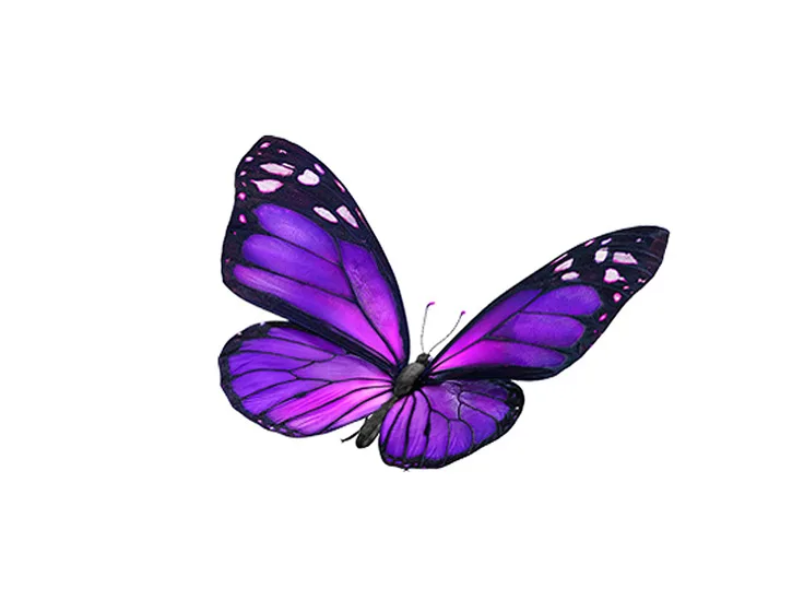 TELUS Critter - Purple butterfly flying