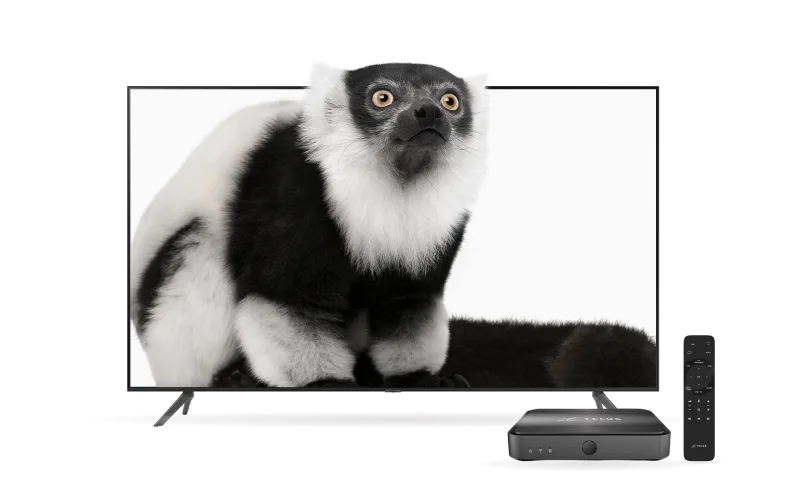 An image showing a TV with a lemur and a TV Box with control beside it.