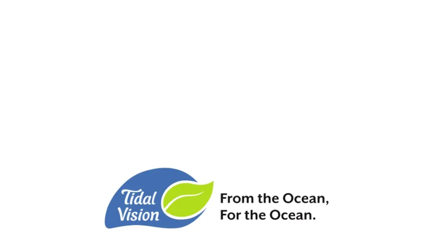 Logo Tidal Vision