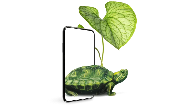 Un exemple frappant de la protection solide offerte par Protection complète d’appareils est illustré par l'émergence d'une tortue à partir d'un smartphone, sa carapace ombragée par une feuille verte luxuriante.