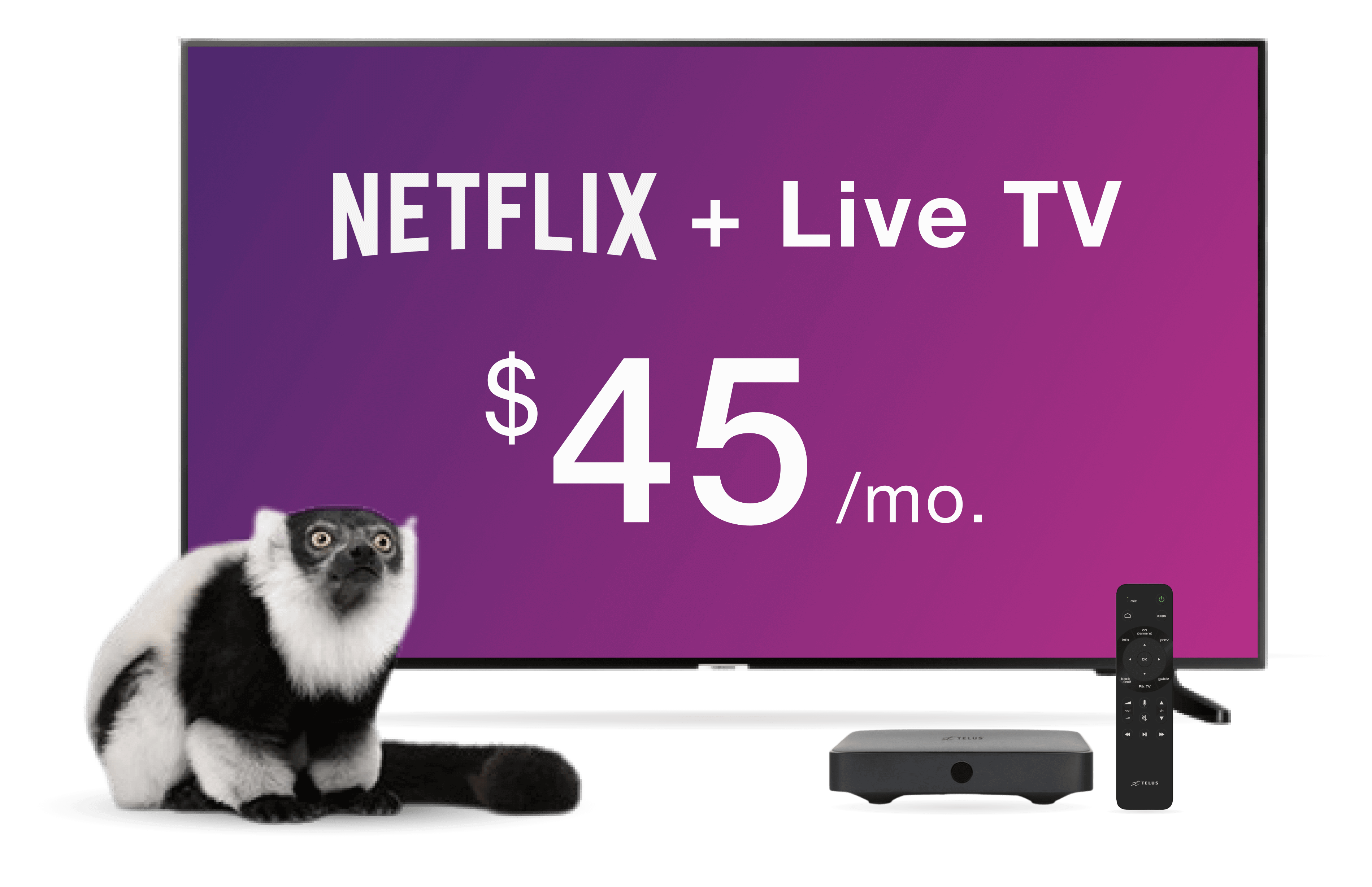 Enjoy Live TV With Netflix Included | TELUS