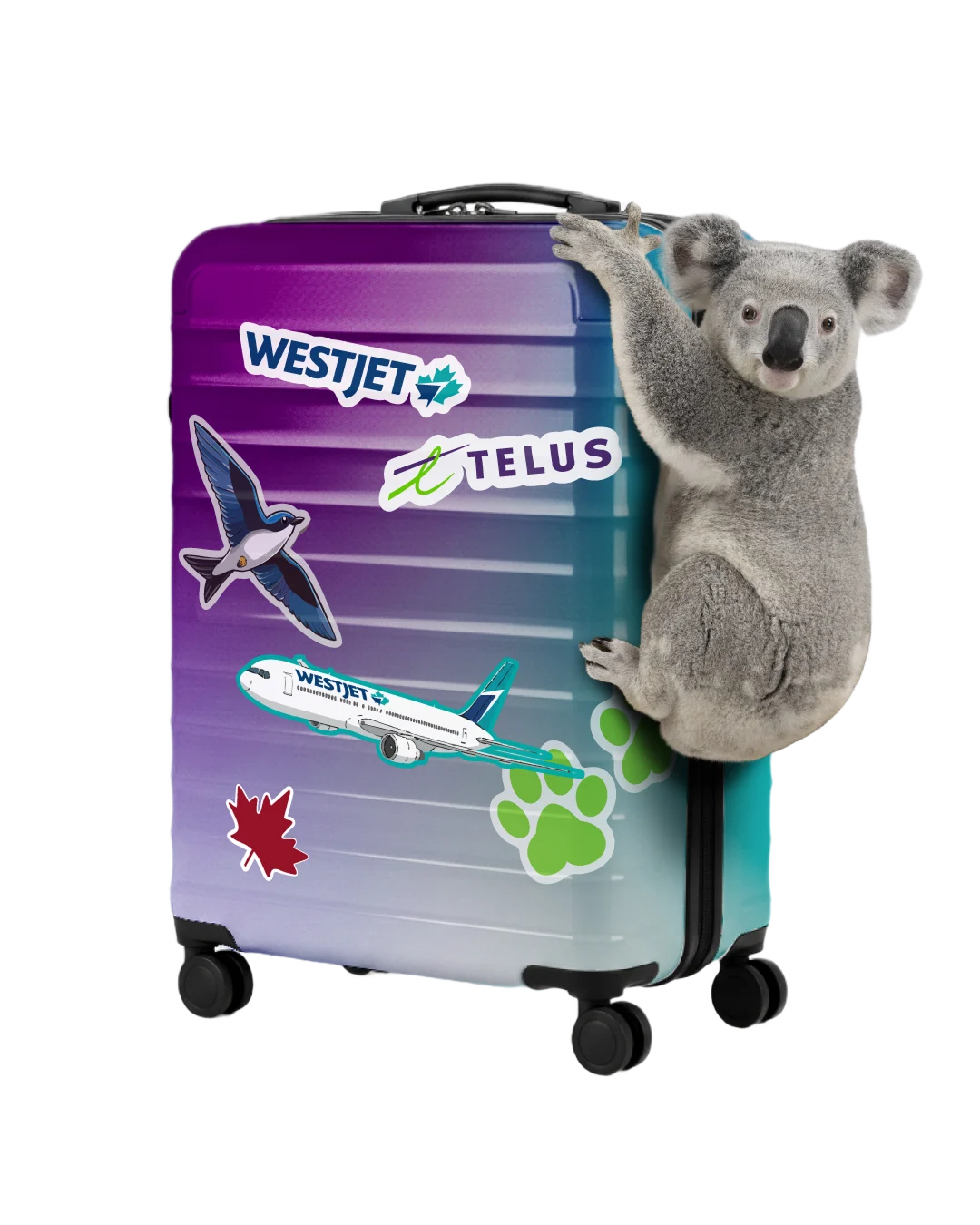 贏取$250 Amazon禮品卡