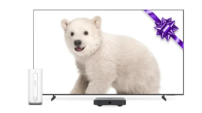 A TV and TELUS modem. The TV screen displays a polar bear and purple bow.