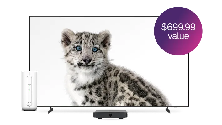 A TV, digital box and TELUS modem. A roundel on the right reads “$699.99 value”. 
