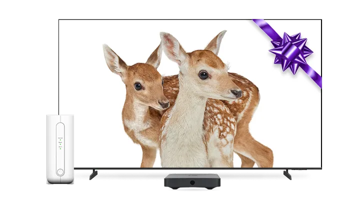 A TV and TELUS modem. The TV screen displays two deer and a purple bow.