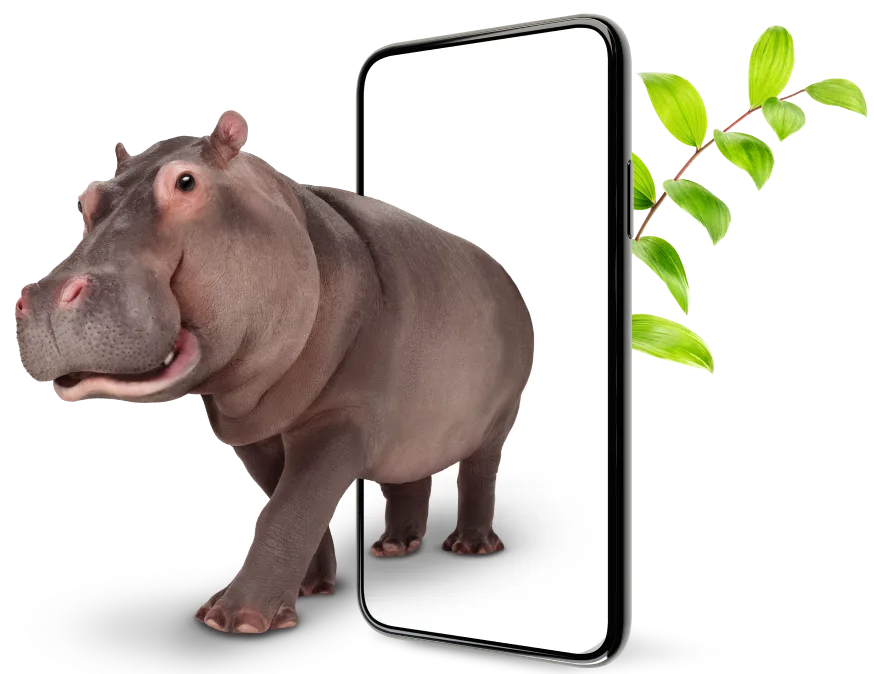 In a vivid illustration of the robust protection offered by Device Care Complete, a hippopotamus emerges from a smartphone frame, with a vibrant green leaf providing a backdrop. 