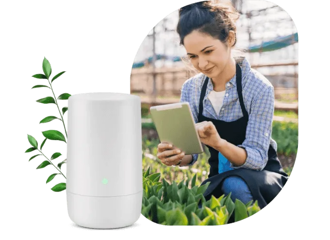 A TELUS modem next to a photograph of a person in a garden. The person uses the internet on a tablet to look up information about a plant.