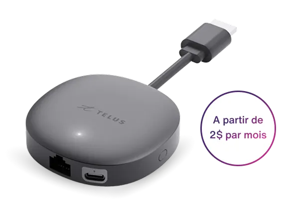 Décodeur mini. Une cocarde à droite indique : A partir de 2 $ par mois.