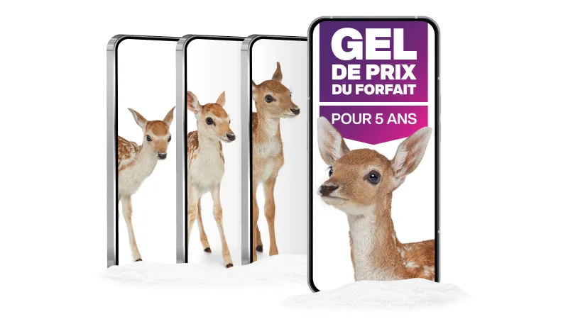 “Gel de prix du forfait pour 5 ans”. Quatre téléphones intelligents disposés en cascade, chacun affichant des images d’un cerf dans différentes positions.