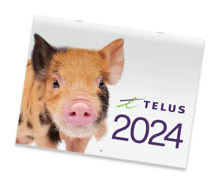 An image of a paper calendar with a spotted orange and brown piglet on it. The calendar reads TELUS 2024