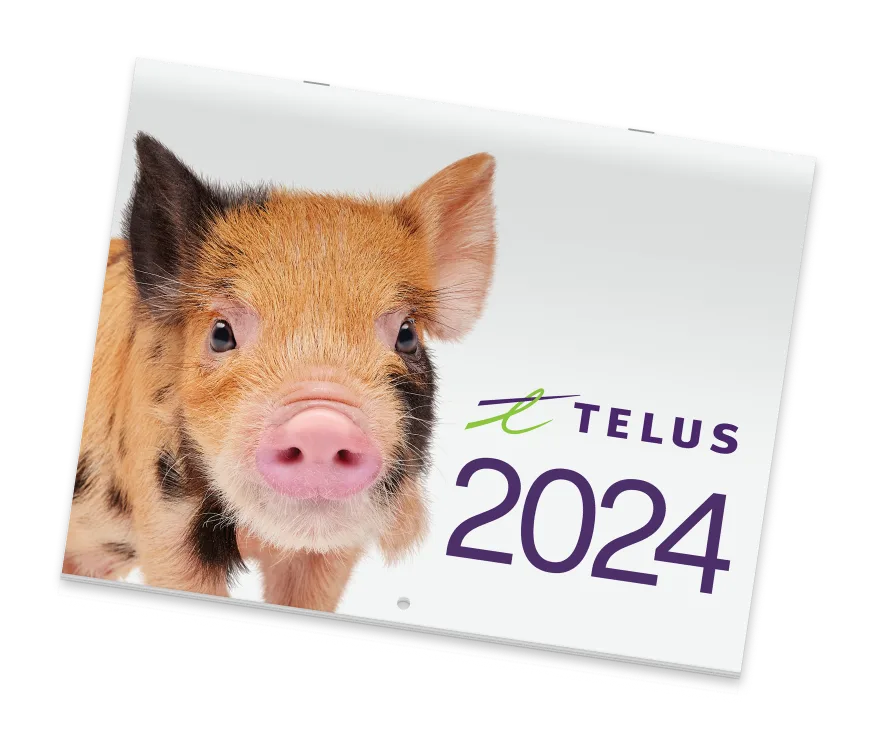 A paper calendar with a spotted orange and brown piglet on it. The calendar reads TELUS 2024.