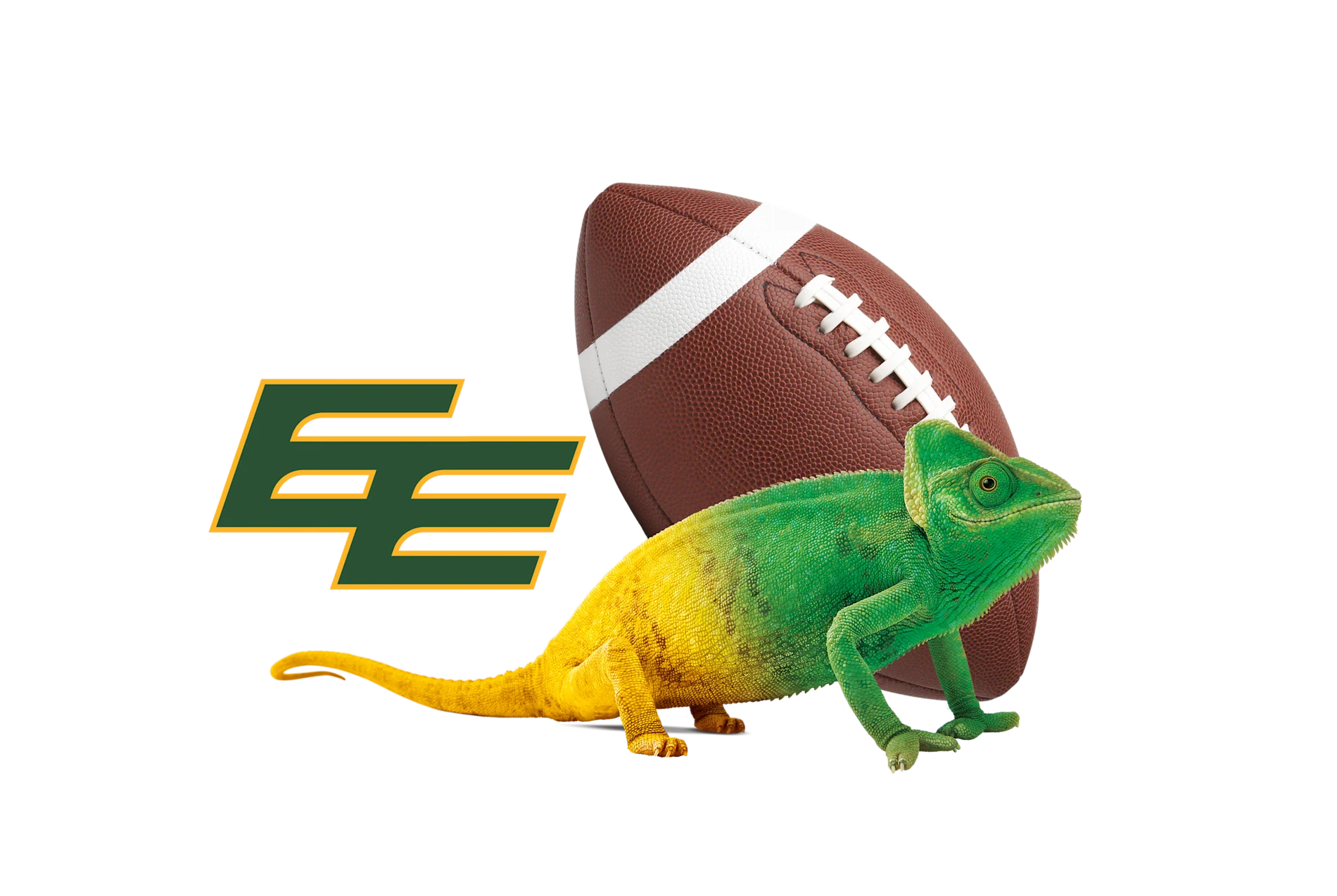 Edmonton Elks 'EE' logo alongside a football and a green-to-yellow gradient chameleon.