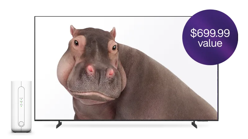 A TV and TELUS modem. The TV screen displays a hippo. A roundel on the right reads “$699.99 value”.