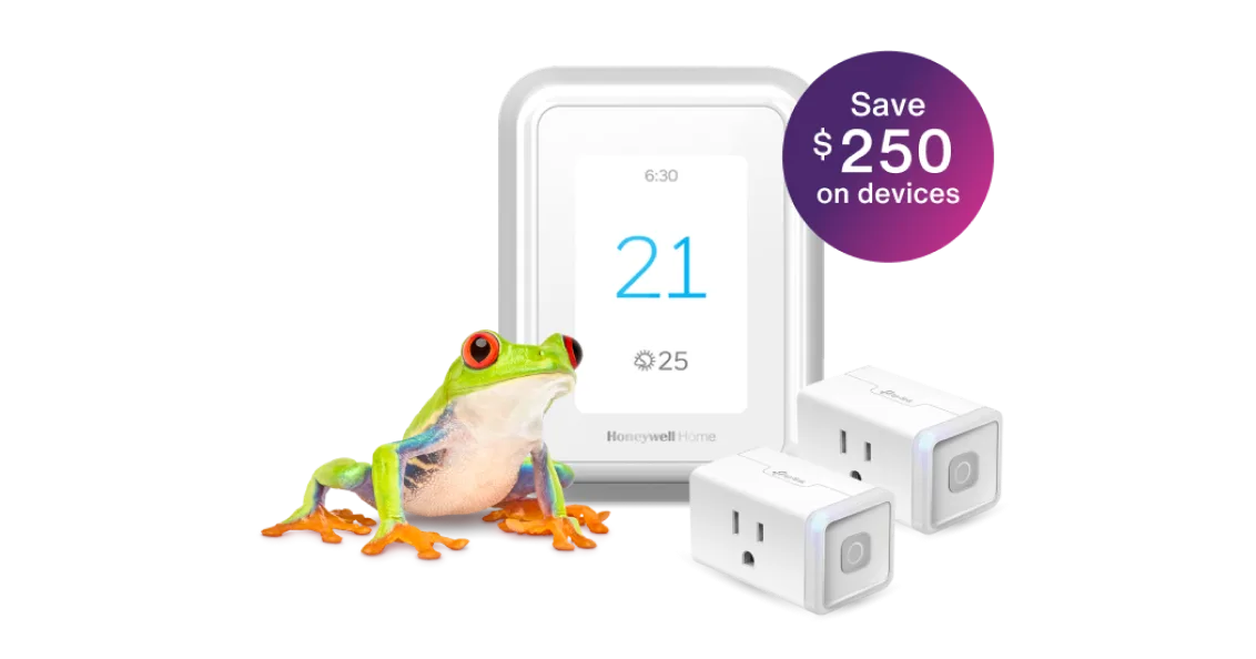 A frog is standing next to a smart thermostat and two smart plugs, displaying a roundel that says, "Save $250 on devices."