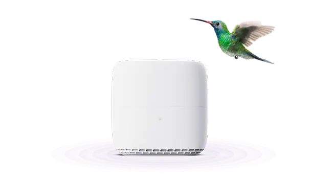 A hummingbird hovering next to a TELUS Wi-Fi 7 modem.