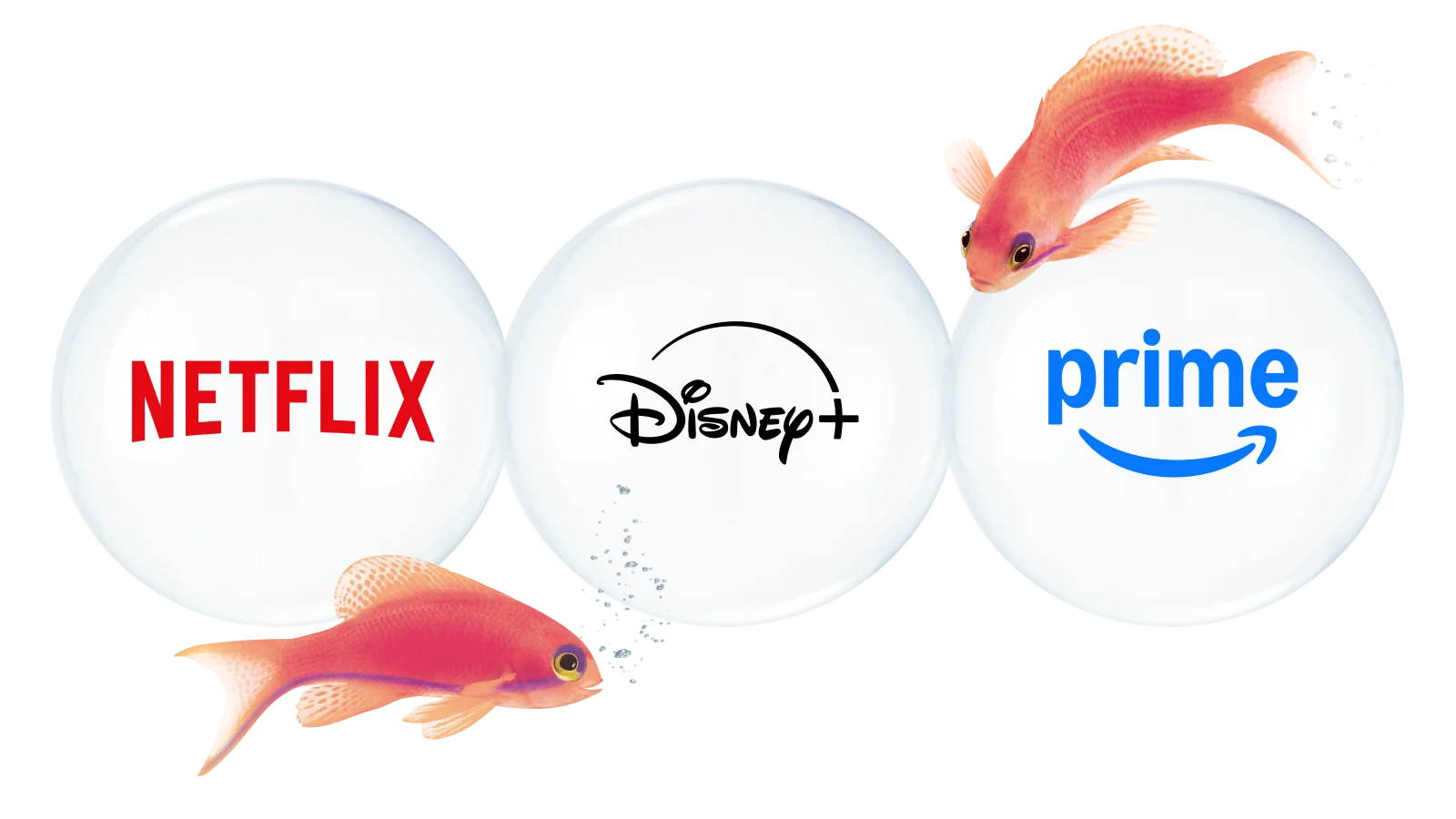 Logos for Netflix, Disney+ and Prime Video with two orange fishes in the background.