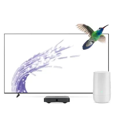 A TELUS modem next to a TV screen. A hummingbird hovers above the modem.