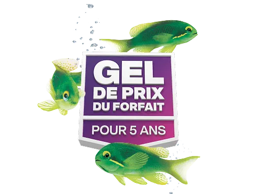 Des poissons verts nagent autour d’un badge qui indique « GEL DE PRIX DU FORFAIT POUR 5 ANS ».