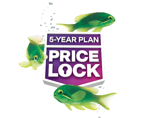 Green fish swim around a badge that reads '5-YEAR PLAN PRICE LOCK'.