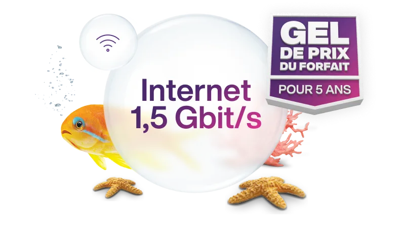 Un routeur Wi-Fi blanc à côté d'un poisson orange avec un badge indiquant « Gel de prix du forfait pour 5 ans » et une bulle indiquant « Internet 1,5 Gbit/s ».