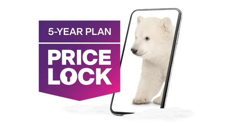 '5-Year Plan Price Lock'. A smartphone displaying an image of a black and polar bear cub looking out into the distance.