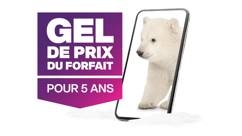 « Gel de prix du forfait pour 5 ans ». Un téléphone affiche l’image d’un ours polaire noir qui regarde au loin.