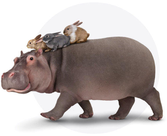 A hippo with three rabbits riding on its back, representing big savings on phone plans with TELUS Family Discount.
