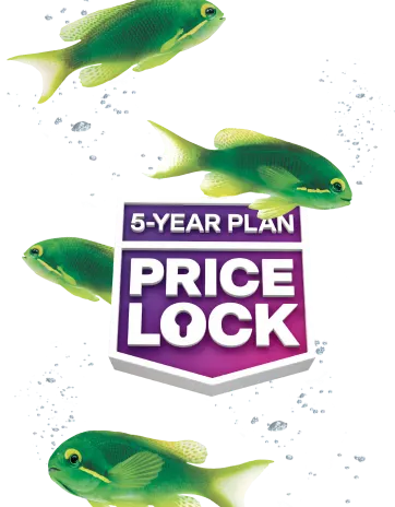 Green fish swim around a badge that reads '5-YEAR PLAN PRICE LOCK'.