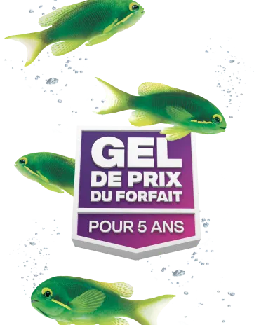 Des poissons verts nagent autour d’un badge qui indique « GEL DE PRIX DU FORFAIT POUR 5 ANS ».