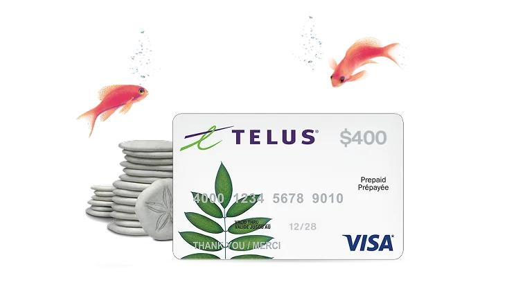 A $400 Prepaid Visa card next to a stack of sand dollars with two pink fish swimming above.