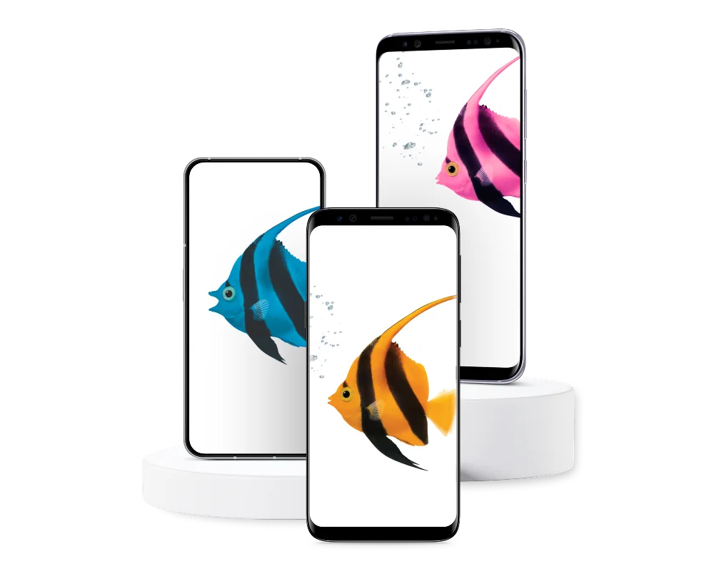 Trois smartphones dont les écrans montrent des poissons anges colorés de couleur jaune, violet et orange, disposés dans une vitrine de produits superposée.