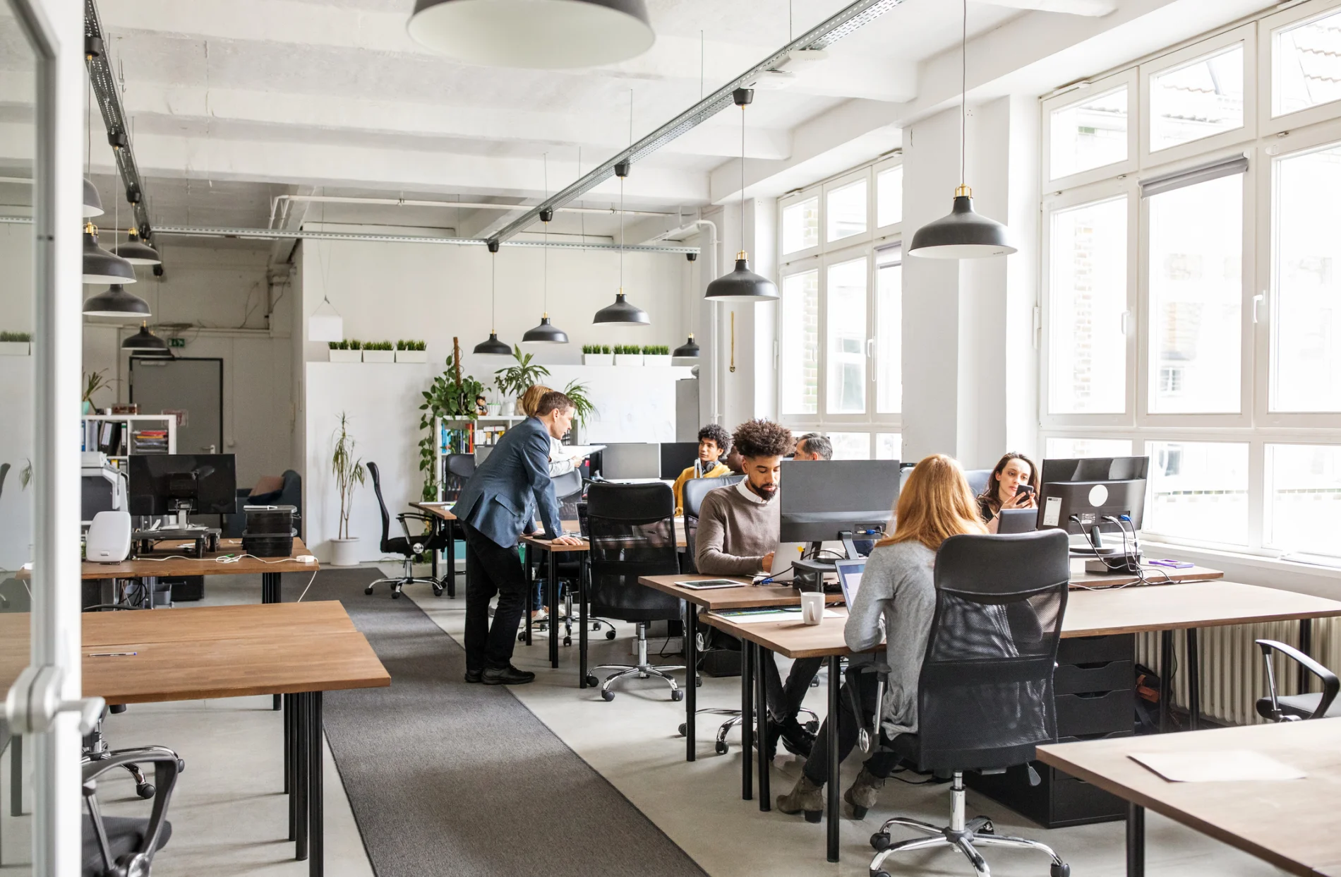 Employees working in an open office environment.