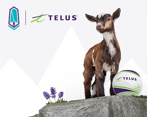 A goat standing on a mountain with a soccer ball. To the left are the Pacific FC and TELUS logo.
