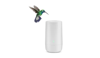 A hummingbird hovering over a TELUS modem.