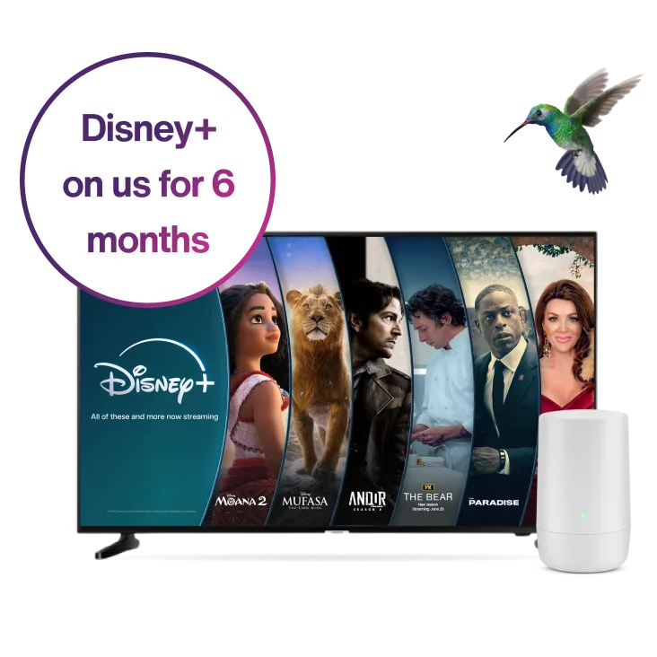 A large TV, TELUS modem and hummingbird. The TV displays popular Disney+ posters. A roundel on the left reads: Disney+ on us for 6 months.