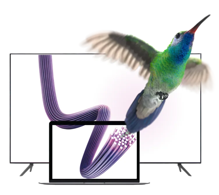 A humming bird flying out of a TV, through a laptop screen.