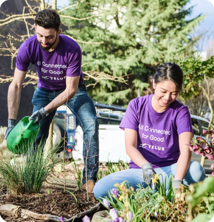 Two TELUS team members volunteering to maintain a community garden plot.