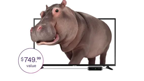An image showing a large TV with a Hippo on the screen and a roundel saying "$749.99 value".